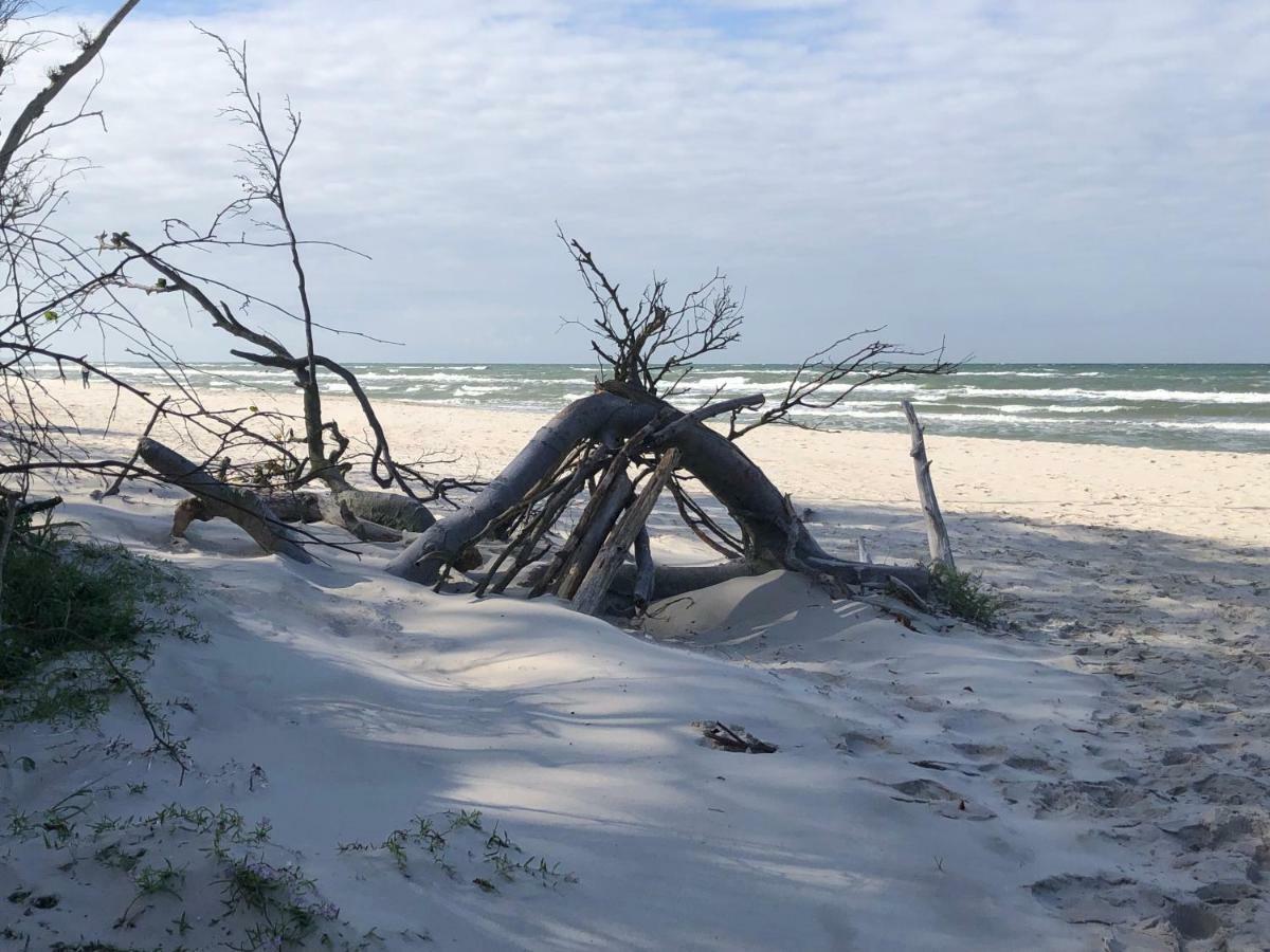 Prerow „Seaside“-Strandnah! Экстерьер фото