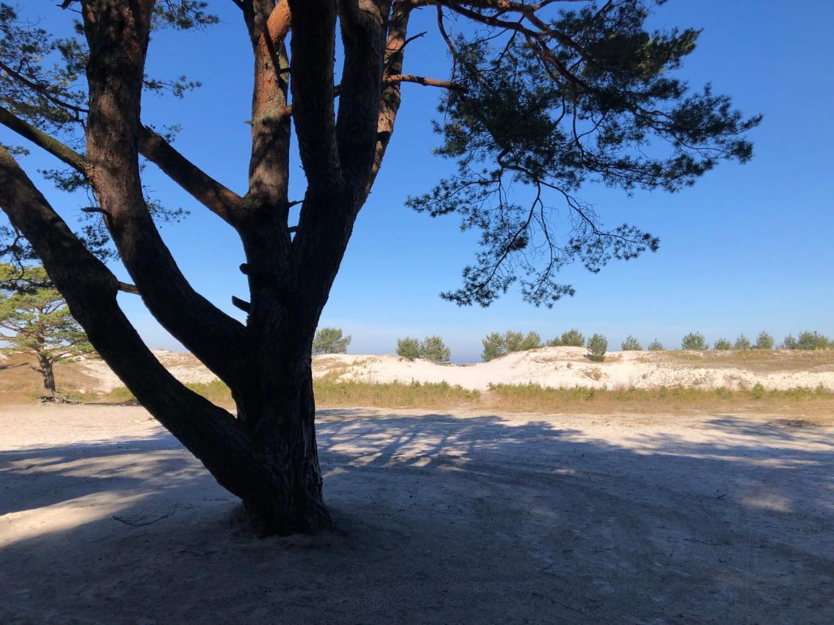 Prerow „Seaside“-Strandnah! Экстерьер фото